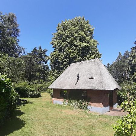 Villa De Hooge Woeste Emst Exterior foto