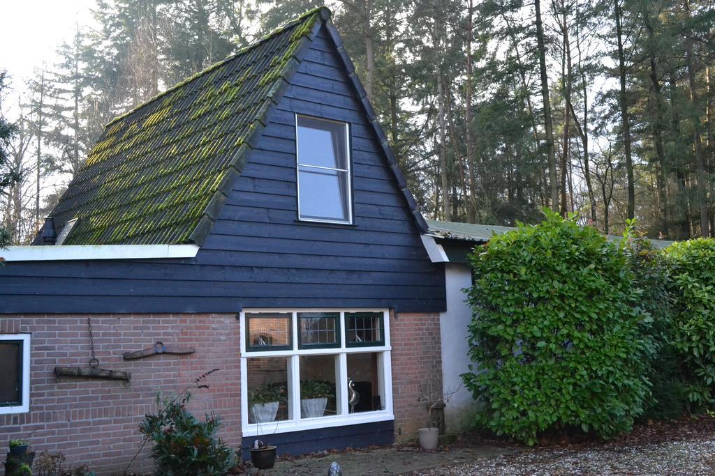 Villa De Hooge Woeste Emst Exterior foto