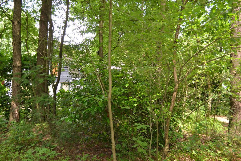 Villa De Hooge Woeste Emst Exterior foto